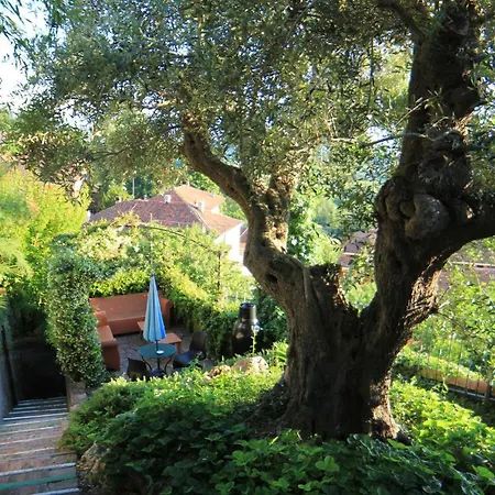 شقة فندقية Felicin - Palazzo Boeri Panoramic Monforte dʼAlba